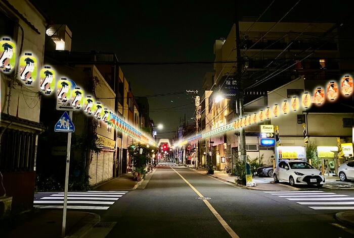 富士通り 提灯ライトアップ