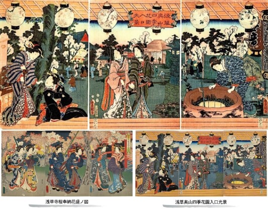 江戸浅草のお花見再現と江戸の花見の装い